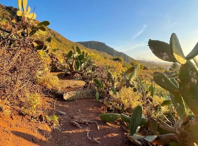 Garza Blanca Бахамар